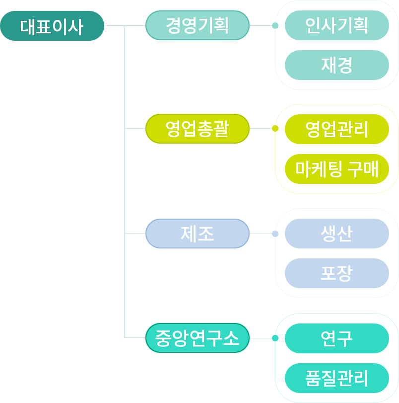 대표이사 경영기획팀 인사기획, 재경 영업총괄팀 영업관리, 마케팅 구매 생산팀 생산, 포장 중앙 연구소팀 연구, 품질관리