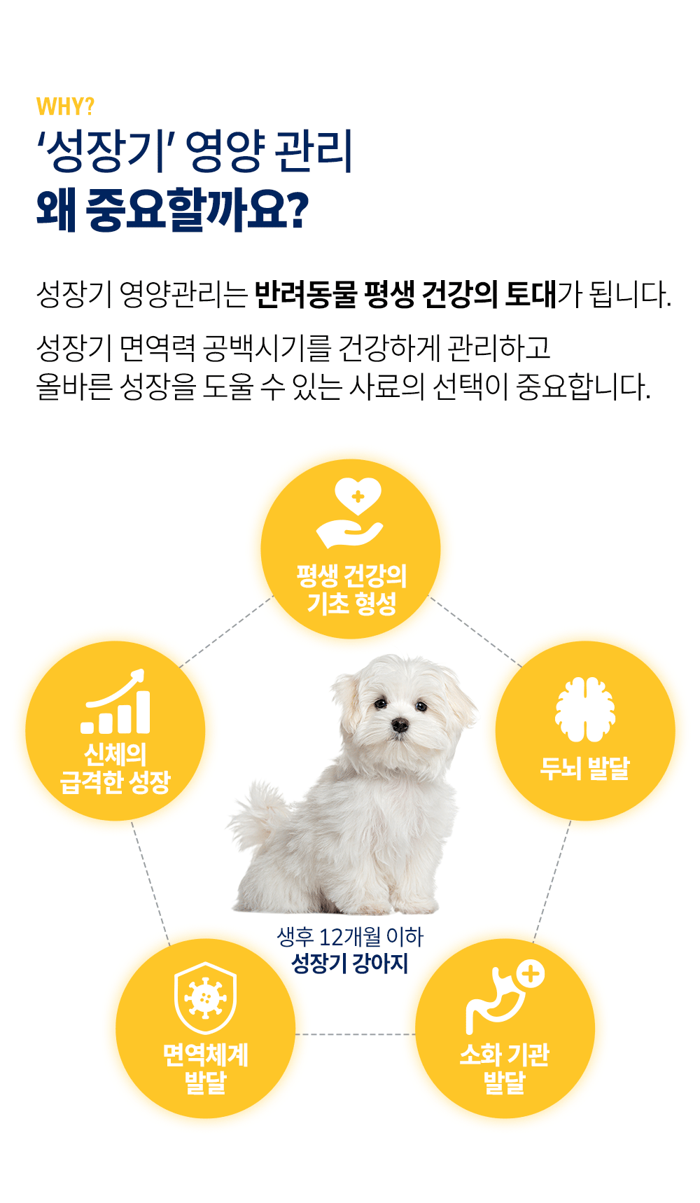 마더앤베이비_상세4.gif