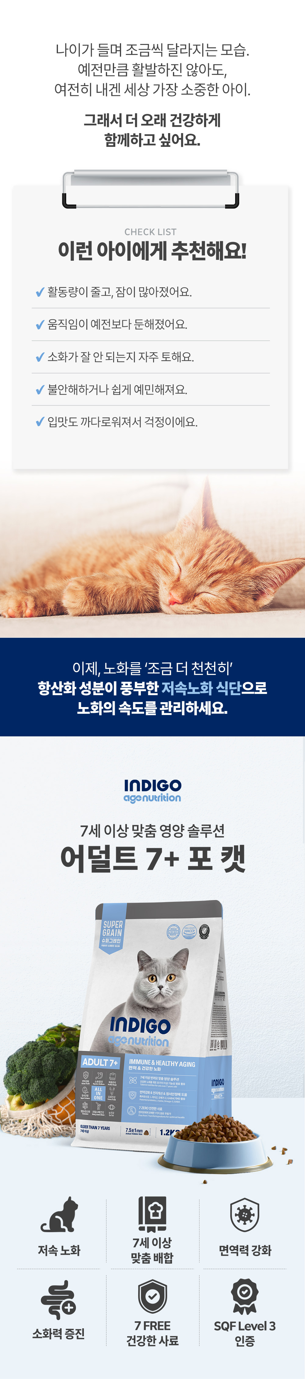 어덜트7+포캣_상세4.jpg