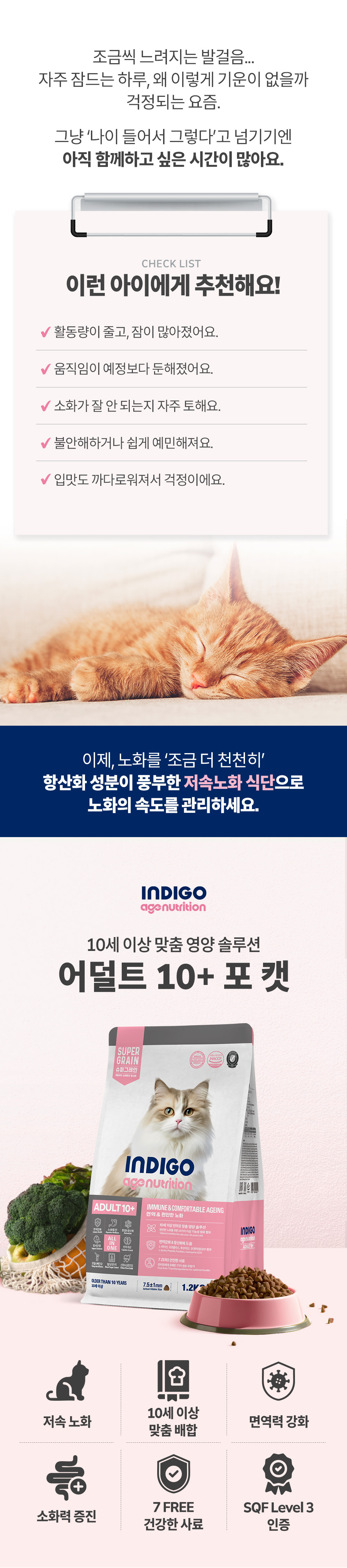 어덜트10+포캣_상세4.jpg